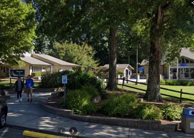 Tree limb falls, killing SC woman at I-77 Welcome Center in North Carolina, EMS says