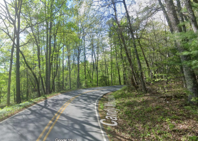 Dogged deputy is run over, yet refuses to stop chasing suspect, NC sheriff says