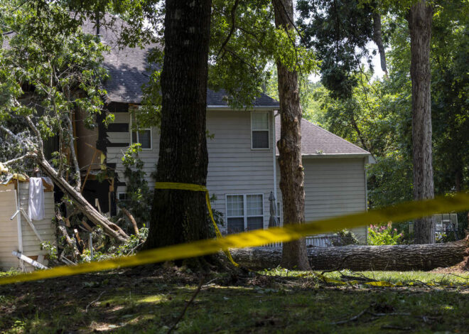 Who’s responsible if your neighbor’s tree falls on your property? NC law