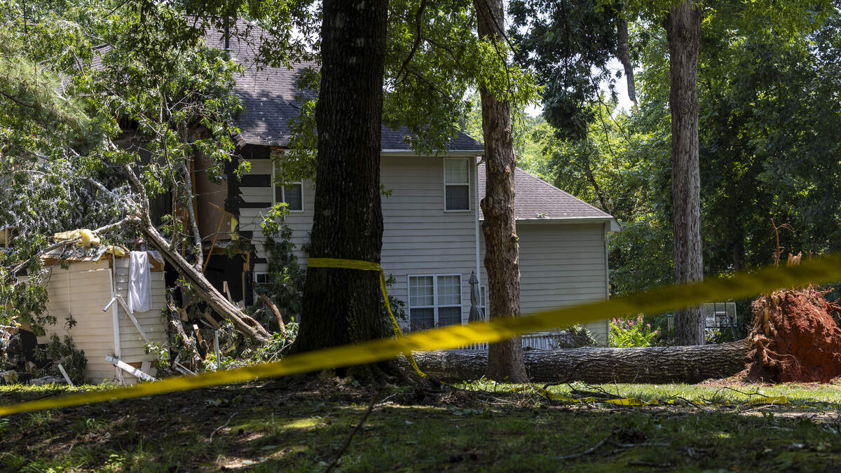 Who’s responsible if your neighbor’s tree falls on your property? NC law