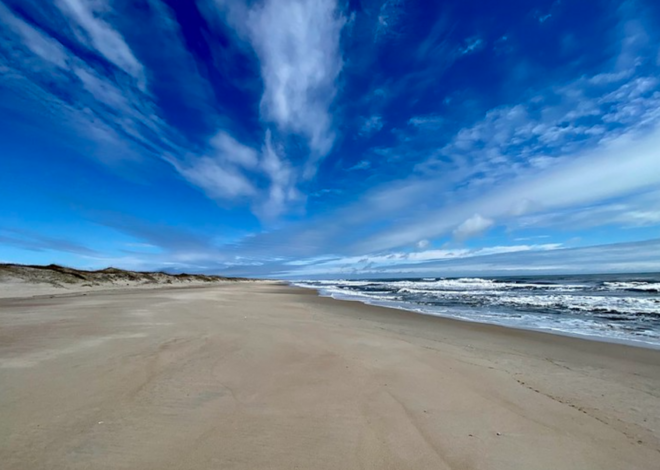 Tourist from Pennsylvania sets state record while fishing off NC’s Outer Banks