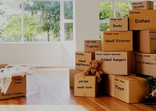 Turning a Walk-In Closet Into a Well-Organized Moving Project