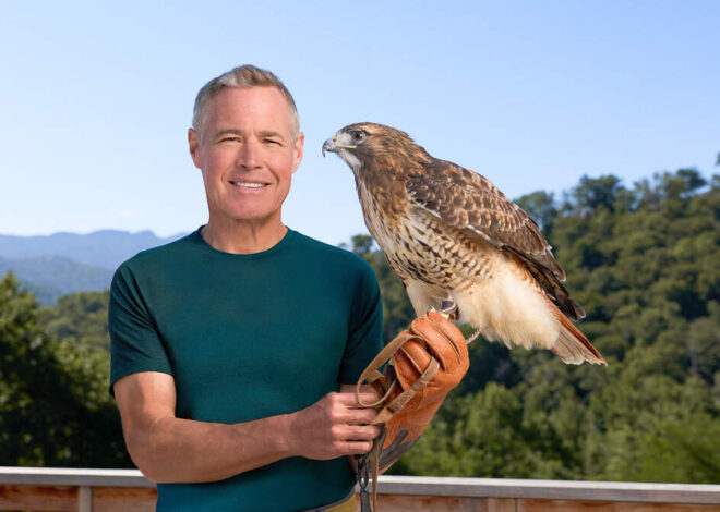 New TV series shows off what makes NC wildlife special. How and when to watch