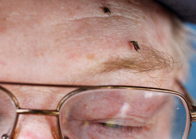 3 cases of West Nile Virus reported in Mecklenburg County