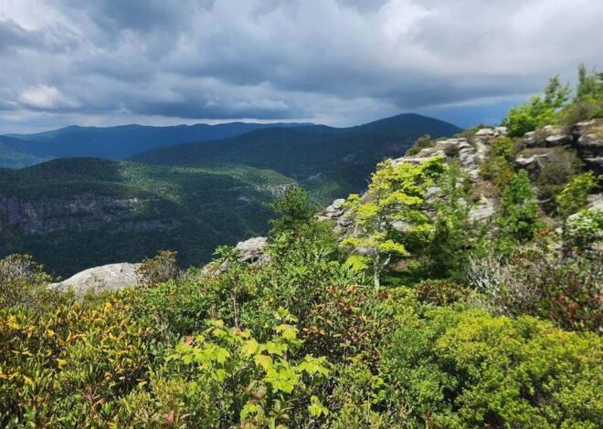 Hiker using Google Maps to navigate gets stuck all night in NC gorge, rescuers say
