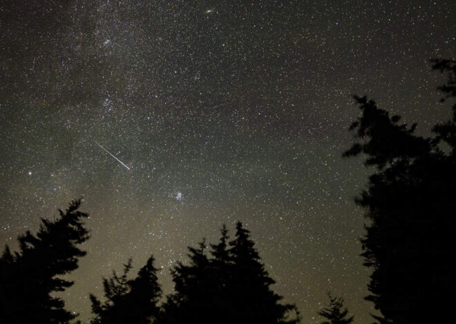 Hundreds report blue-green orb zip across sky in SC and NC. Was it space junk?