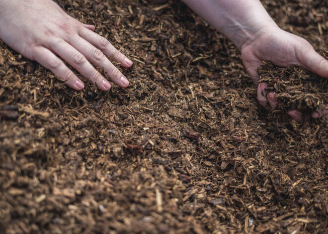 How an NC professor and her students helped human composting become legal in the US