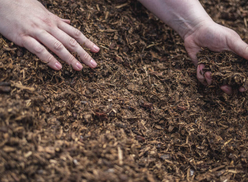 How an NC professor and her students helped human composting become legal in the US