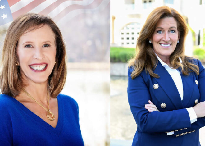 Fact check: NC Senate candidates Woodson Bradley, Stacie McGinn on data centers