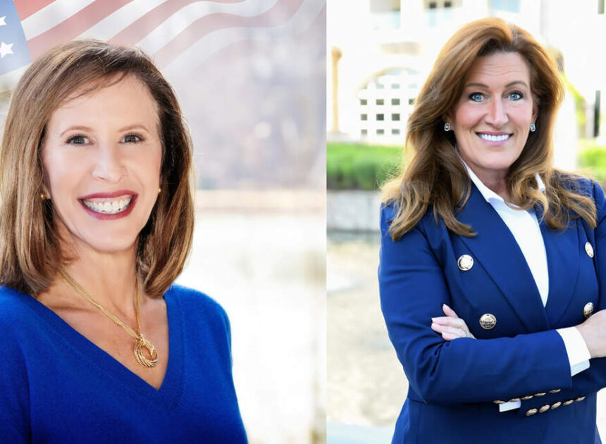 Fact check: NC Senate candidates Woodson Bradley, Stacie McGinn on data centers