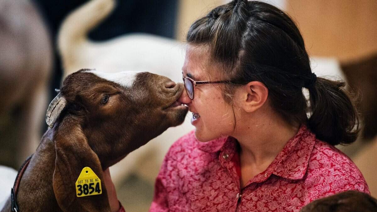 NC lawmakers make it easier to miss school if you work on a farm or ride a horse