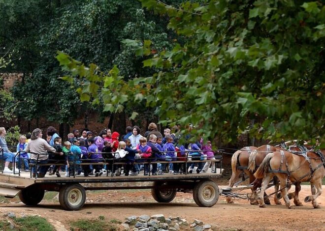 3 hospitalized when horses panic and jump at popular NC tourist attraction