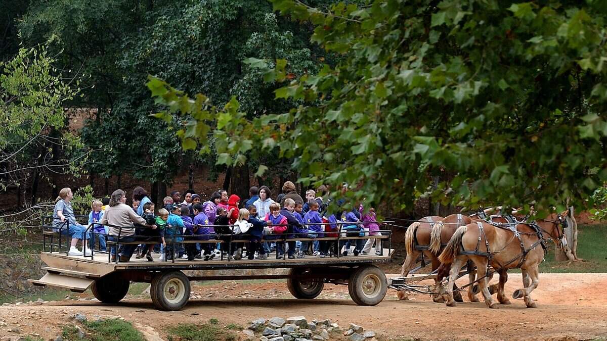 3 hospitalized when horses panic and jump at popular NC tourist attraction