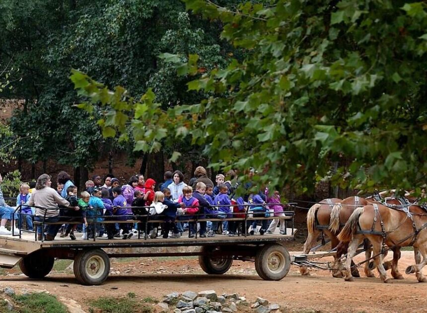 NC woman dies days after being tossed to ground at Mooresville animal attraction
