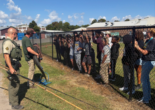 Alligator stuck on school property gets expelled during recess, NC officials say