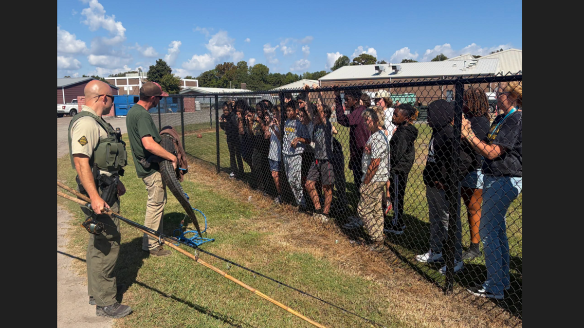 Alligator stuck on school property gets expelled during recess, NC officials say