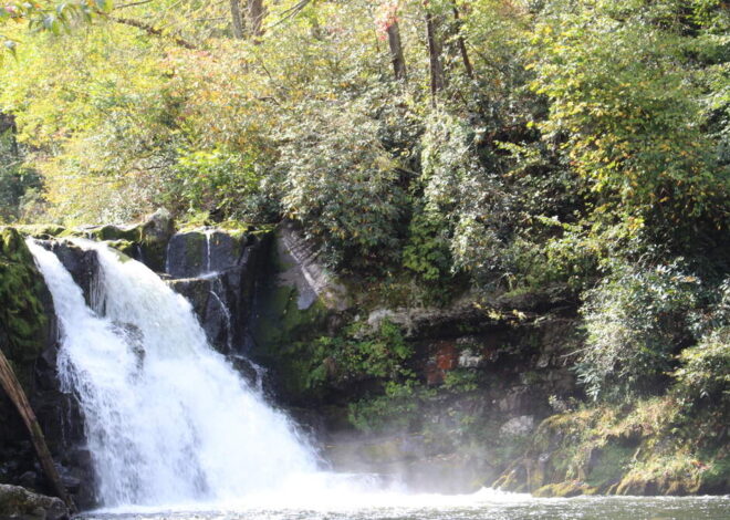 Body of missing Texas man found at waterfall in Great Smoky Mountains, park says